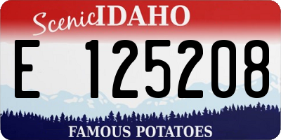 ID license plate E125208
