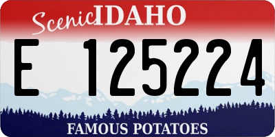 ID license plate E125224
