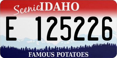 ID license plate E125226