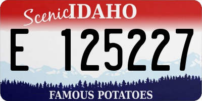 ID license plate E125227