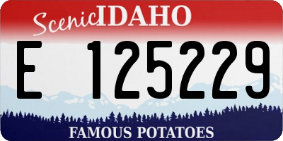 ID license plate E125229