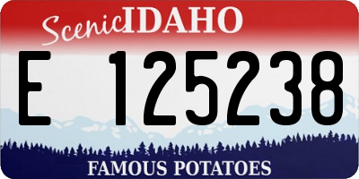 ID license plate E125238