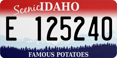 ID license plate E125240