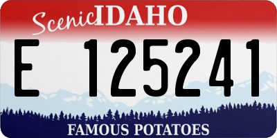 ID license plate E125241
