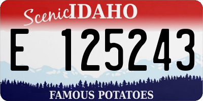 ID license plate E125243
