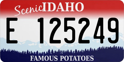 ID license plate E125249