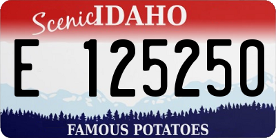 ID license plate E125250
