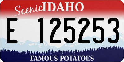 ID license plate E125253