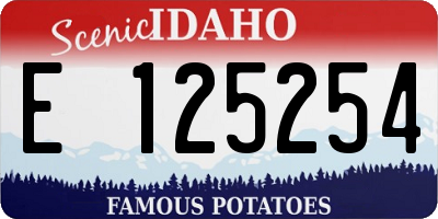 ID license plate E125254