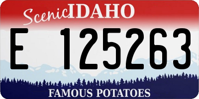 ID license plate E125263
