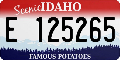 ID license plate E125265