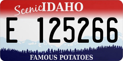 ID license plate E125266