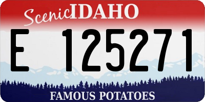 ID license plate E125271