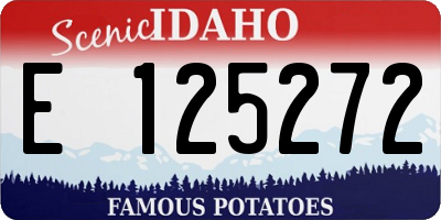 ID license plate E125272