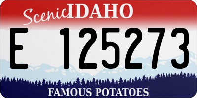 ID license plate E125273