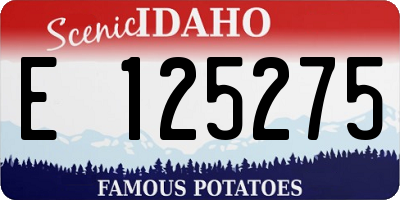 ID license plate E125275