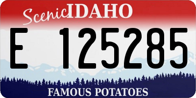 ID license plate E125285