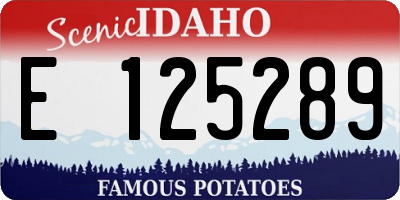 ID license plate E125289