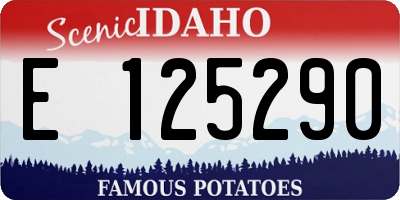 ID license plate E125290