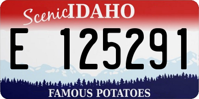 ID license plate E125291