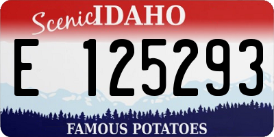 ID license plate E125293