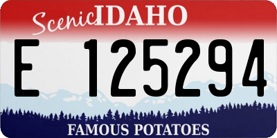 ID license plate E125294