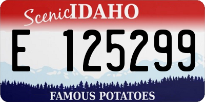 ID license plate E125299