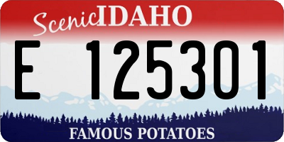 ID license plate E125301
