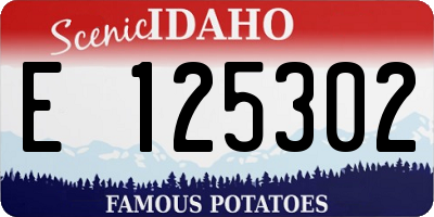 ID license plate E125302