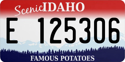 ID license plate E125306