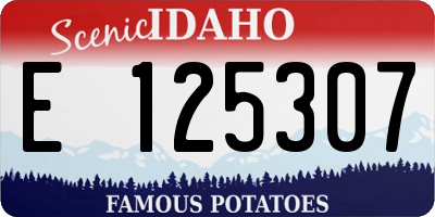 ID license plate E125307