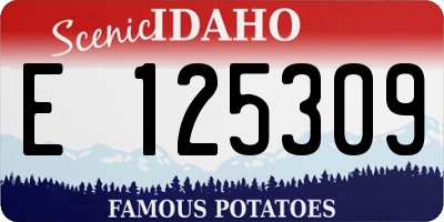 ID license plate E125309