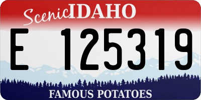 ID license plate E125319