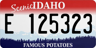ID license plate E125323