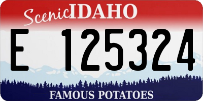 ID license plate E125324