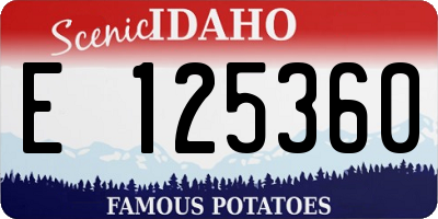 ID license plate E125360