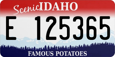 ID license plate E125365