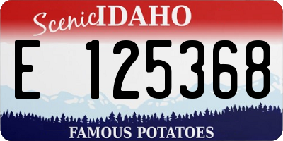 ID license plate E125368