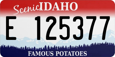 ID license plate E125377