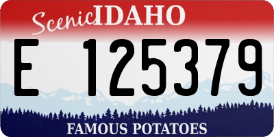ID license plate E125379