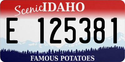 ID license plate E125381