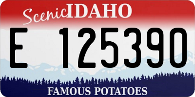 ID license plate E125390