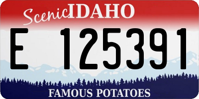ID license plate E125391