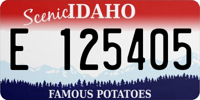 ID license plate E125405