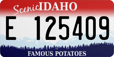 ID license plate E125409