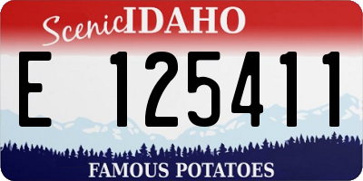 ID license plate E125411