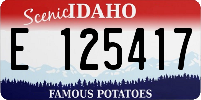 ID license plate E125417