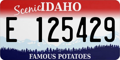 ID license plate E125429