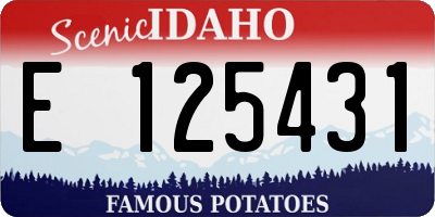 ID license plate E125431