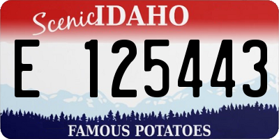 ID license plate E125443